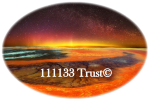 111133 Trust