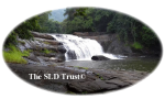 The SLD Trust