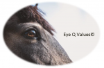 Eye Q Values