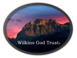 Wilkins God Trust