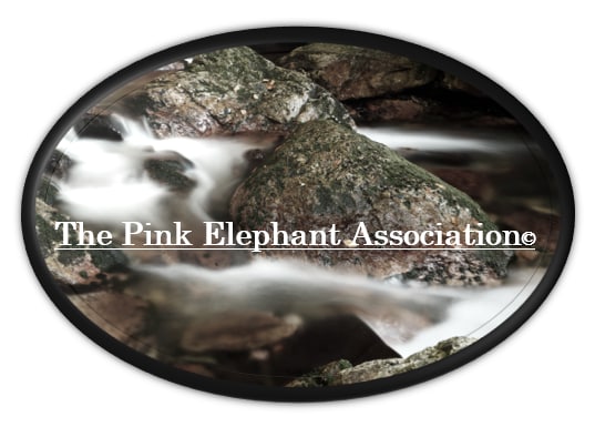 The Pink Elephant Association