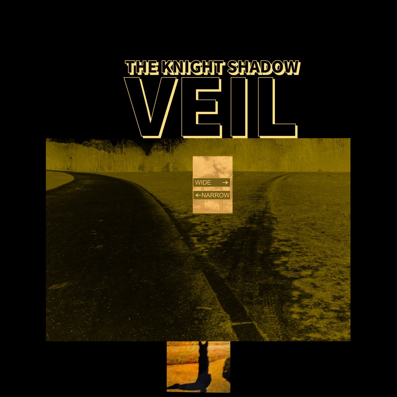 The Knight Shadow Veil