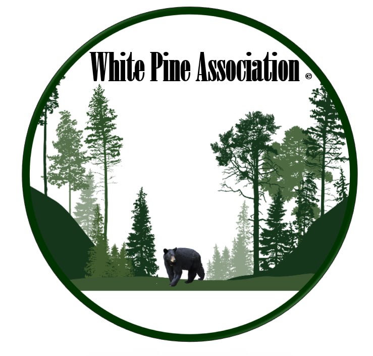 White Pine Association