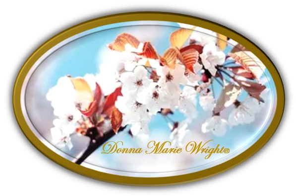 Donna Marie Wright