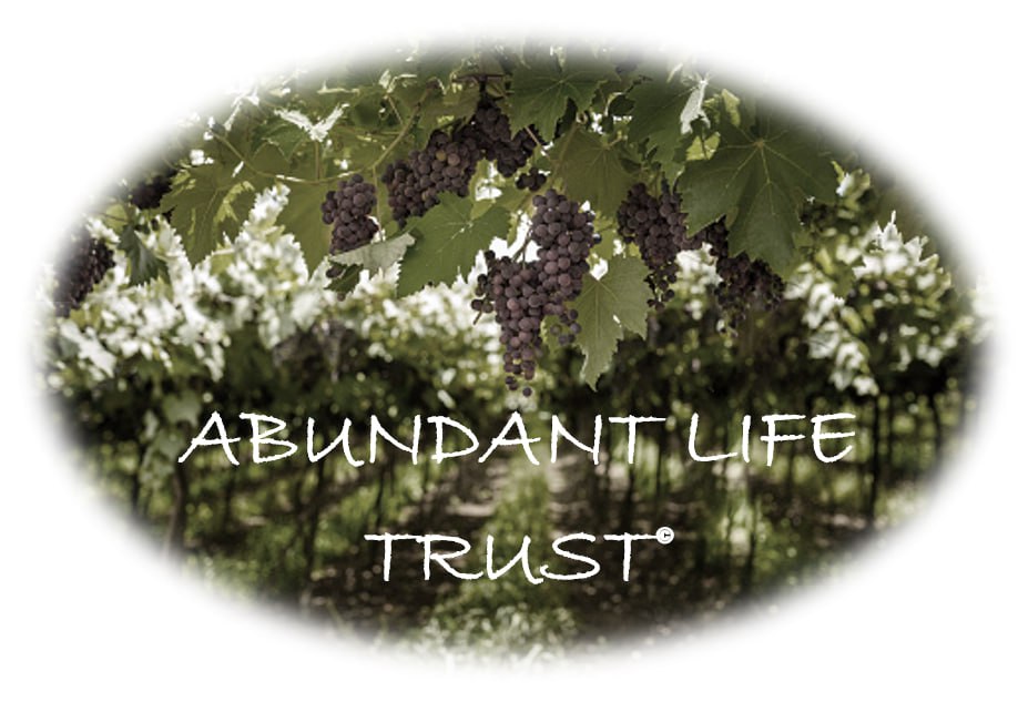 ABUNDANT LIFE TRUST