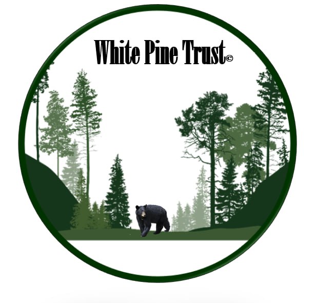 White Pine Trust