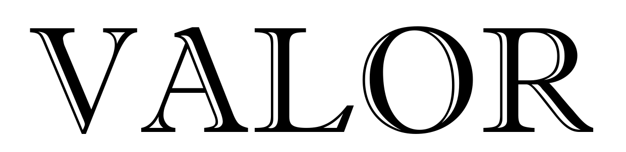VALOR